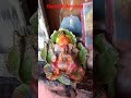 ganesh darshan india dibrugarh ganeshji ganpati shortsfeed youtubeshorts shortsvideo shorts