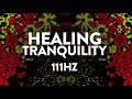 Healing Tranquility ✧ 111Hz ✧ Beta Endorphins & Cell Regeneration ✧ Ambient Meditation Music Therapy