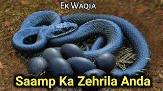 Saamp Ka Zahrila Anda | Storytime Short Video | Hafiz Aamir Qadri