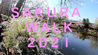 【桜散歩＠石神井公園】Tokyo Cherry Blossoms 2021 - Shakujii park