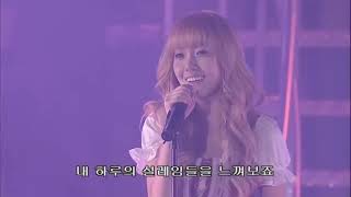 소녀시대 - Day by Day (사랑은 선율을 타고) (SNSD, Girls' Generation) LIVE @ Into the New World Tour w/lyrics