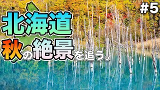 Re:北海道で秋の絶景を追う。2023 #5　三国峠〜層雲峡〜美瑛（青い池、白鬚の滝）