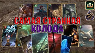 GWENT | ЭХО ФЛАМИНИКА — ОЧЕНЬ НЕОБЫЧНАЯ КОЛОДА (Безрассудная ярость) — гайд | Гвинт Патч 12.4