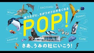 「POP！」　さぁ、うみの杜にいこう！