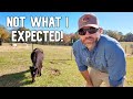 You Won't Believe What Happens When Pocket Gets In The Goat Pasture!