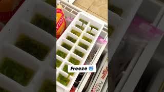 Freezing Fresh Herbs For Use All Year Long