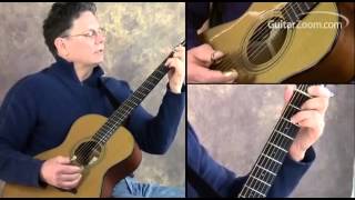 "Kind Hearted Woman" - Delta Blues Guitar Intro Chords | Steve Dahlberg | GuitarZoom.com