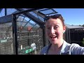 we have a glasshouse gardening in christchurch new zealand ru grew