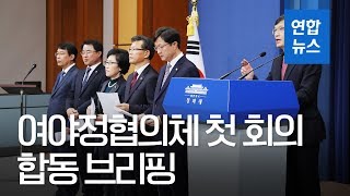 여야정협의체 \