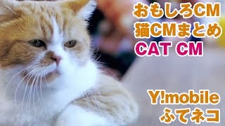 【CAT FUNNY CM JAPAN】Y!mobile ふてネコ【猫CM】