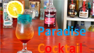 The Paradise Cocktail the Perfect Layered Summer Cocktail