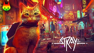 世界は広がり、謎は深まる😼🤖🔦#2【猫のゲームStray】