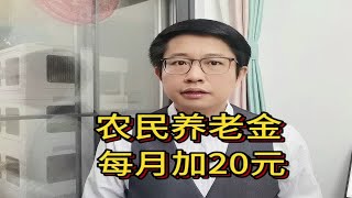 委员建议农民养老金每月涨100元，为什么只涨了20元？