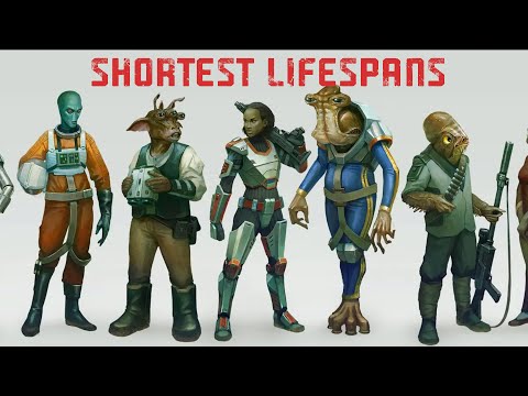 What star has the shortest lifespan?