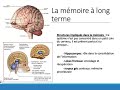 cours 8 troubles cognitifs