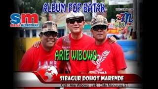 Arie Wibowo - Sibagur Dohot Marende