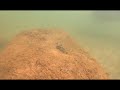 scuba diving at kovalam i english subtitles i things to do in kovalam i trivandrum