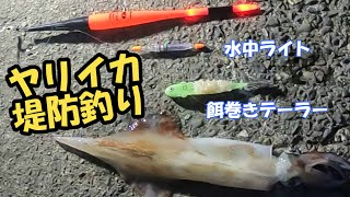 ヤリイカ堤防釣り　（餌巻きテーラーでのウキ釣り）　棚は重要！！