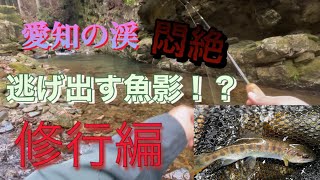 愛知の渓流　逃げ出す魚影！？　修行編【渓流釣り】