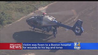 Swimmer Attacked By Shark Off Cape Cod