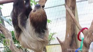 2018 Binghamton Zoo :15 Commercial Spot