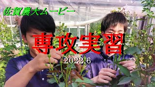 佐賀の農と食を支える佐賀県農業大学校【専攻実習編②】