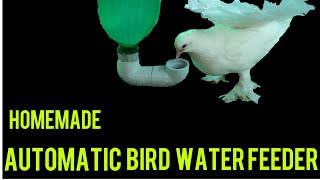 How to make birds automatic water feeder. പക്ഷികളുടെ ഓട്ടോമാറ്റിക് വെള്ള പത്രം എളുപ്പത്തിൽ ഉണ്ടാകാം