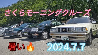 【旧車】さくらモーニングクルーズへ【12クラウン】【ハジメオート】