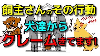 【犬 しつけ】飼主さんのその行動！愛犬達は困っています！問題行動を引き起こす原因 新!遠藤エマチャンネル【犬のしつけ＠横浜】