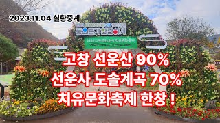 선운산90% 도솔천70% 단풍에 빠지다. 실시간중계 선운사 단풍 다음주 절정!