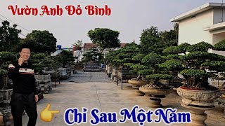 Ngỡ ngàng khi đến thăm vườn cây của anh Đỗ Bình Giao Thủy lượng cây tăng nhiều lần chỉ sau một năm