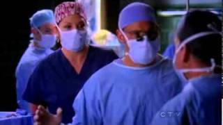 Grey's Anatomy Season 7x11 "Alex, Arizona & Callie fighting Dr. Stark"