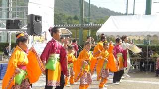 安土　江州・愛翔　カキパラ