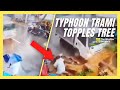 Typhoon Trami Blows Tree Onto Pedestrian as Philippines Is Hit Hard by Storm