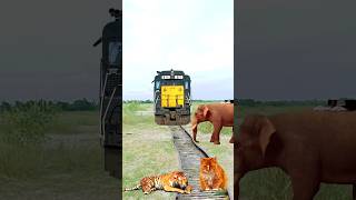 Elephant,cat,dog,fox, crying baby & toy car vs high speed train - funny vfx