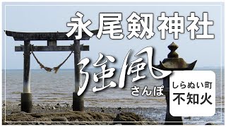 風にも負けず 泥にも負けず 永尾神社散歩【くまもと散歩】