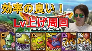 【ドラクエタクト 】《高速周回》オススメの経験値・レベル稼ぎ場所5選！+αのオマケ1選☺︎