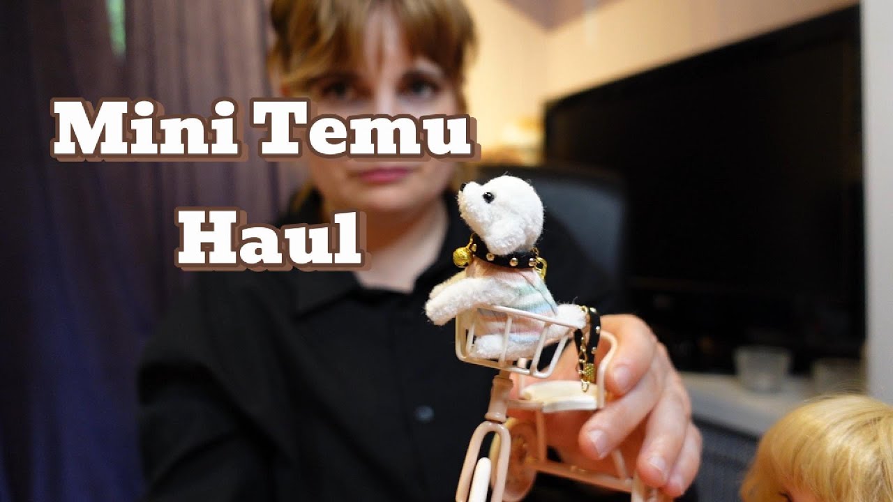 Temu Mini Haul Youtube