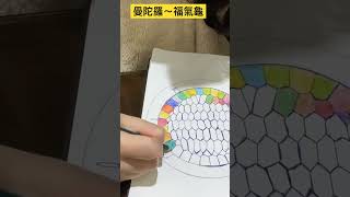 曼陀羅～福氣龜 #shorts 滿滿祝福的烏龜～ Inspiration/Inspire/turtle