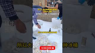 东北人冬天用来储存食物的 天然大冰箱 ，室外零下二十度，比冰箱温度还低# 东北 # 东北人 # 冬天