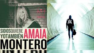 Alan Walker Ft. Amaia Montero - Darte Mi Vida (Dj Santi Mix Mashup)