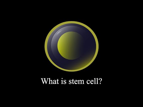 What is the stem cell? #shorts