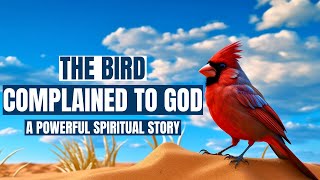 THE BIRD THAT COMPLAINED TO GOD | WATCH THIS POWERFUL SPIRITUAL STORY