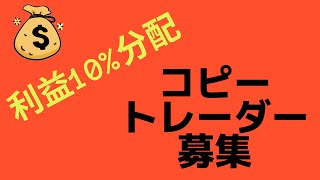 コピートレード申請書BYBITのコピートレーダーとなり、トレーダーがあなたのトレードをコピーしてお金を稼ぐと、10％の利益分配を得ることができます。バイビット暗号資産仮想通貨取引所PR