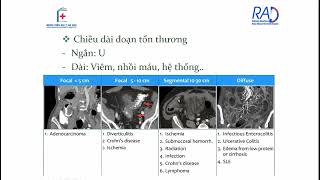 CLVT RUỘT NON | BS. Đinh Văn Thư