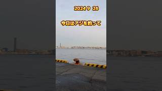 北九州の海　アジ泳がせ　2024  9  26   #shorts