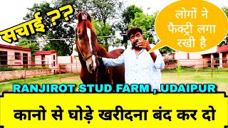 कानो से घोड़े मत खरीदो !! प्रवीण जी कोठारी!! RANJIROT STUD FARM , UDAIPUR !! Part 1