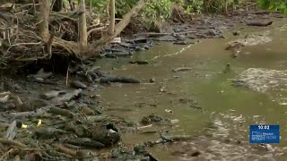 New water quality report shows more chronic coastal water pollution in Hawaii