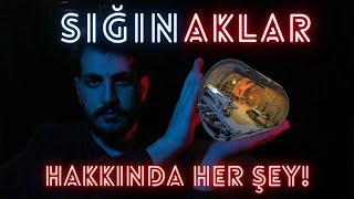 Sığınaklar Hakkında Her şey