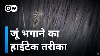 सिर की जूं भगाने का हाईटेक तरीका [High tech to combat head lice]